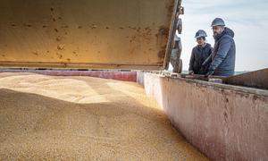 A joint inspection team inspects the grain cargo of a ship leaving Ukraine under the Black Sea Grain Initiative.