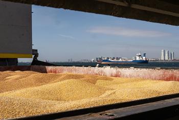 Joint inspection teams at work under the Black Sea Grain Initiative.