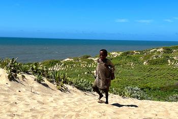 A young boy walks past rows of sisal plants planted by a community in southern Madagascar to hold back desertification..