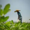 Un agriculteur dans son champ dans le nord d'Haïti.