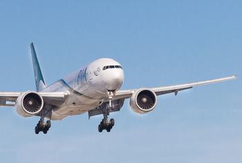 Um avião branco da Pakistan International Airlines (PIA) é mostrado em aproximação final para pouso contra um céu azul claro, com o trem de pouso acionado.