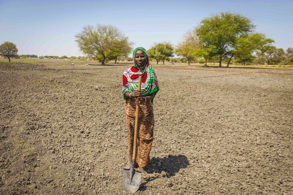 Los agricultores de la región del Sahel, incluido el Chad (en la foto), tienen dificultades para cultivar.