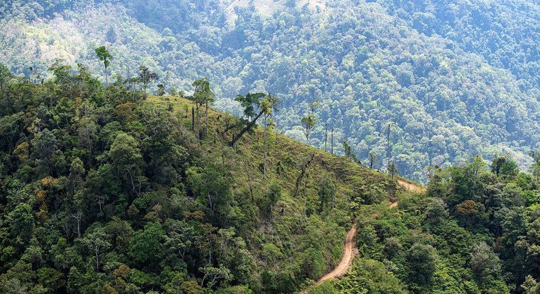From the Field: Costa Rica points the way to a sustainable world