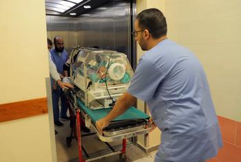 Premature and low-weight babies being moved from Al-Shifa hospital in Gaza City to the south of the enclave.