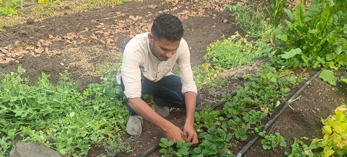 Siddhesh Sakore tends plants in a field in Pune, India.