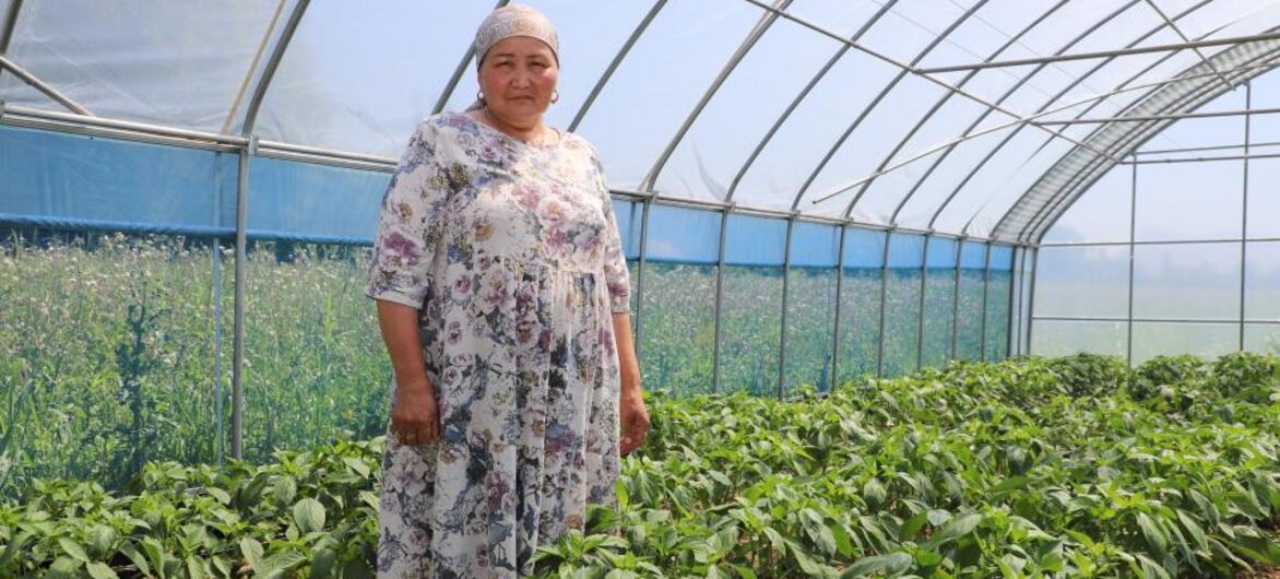 A woman in a floral dress stands inside a greenhouse filled with rows of pepper plants.