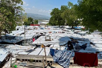 Un camp de réfugiés en Haïti, avec des abris de fortune faits de bâches, et des montagnes visibles en arrière-plan.
