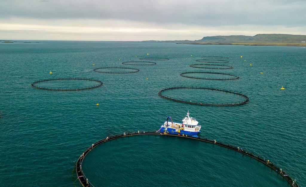 En Berufjörður, Islandia, se mantienen redes de pesca en el mar.