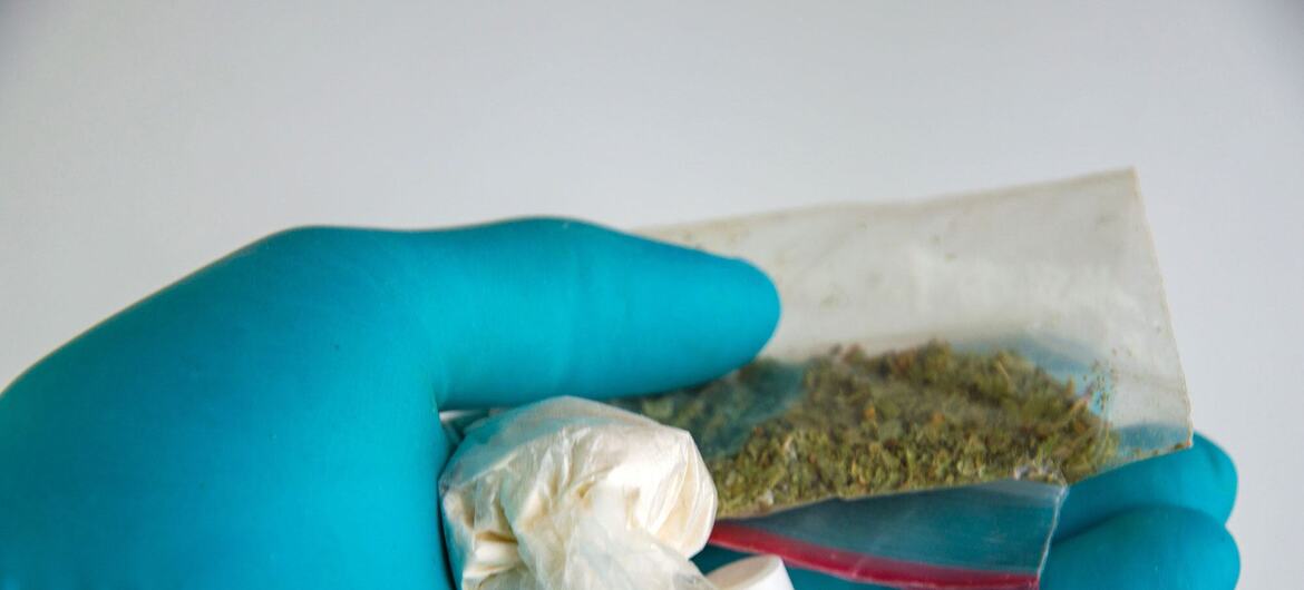 A gloved hand holds samples of illicit substances, including pills, a white powder in a bag, and a green herbal substance in a baggie.