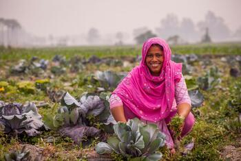 South Asian woman in a pink headscarf smiles while tending to cabbages in a vegetable field.
