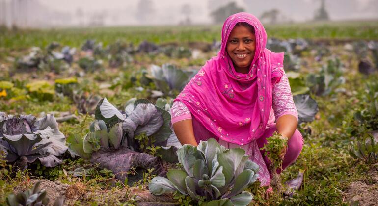 un.org - UN News - Why climate action now comes down to speed, finance and cooperation