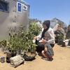 A Palestinian woman and her young child water plants outside a UNDP container in a Gaza displacement camp.