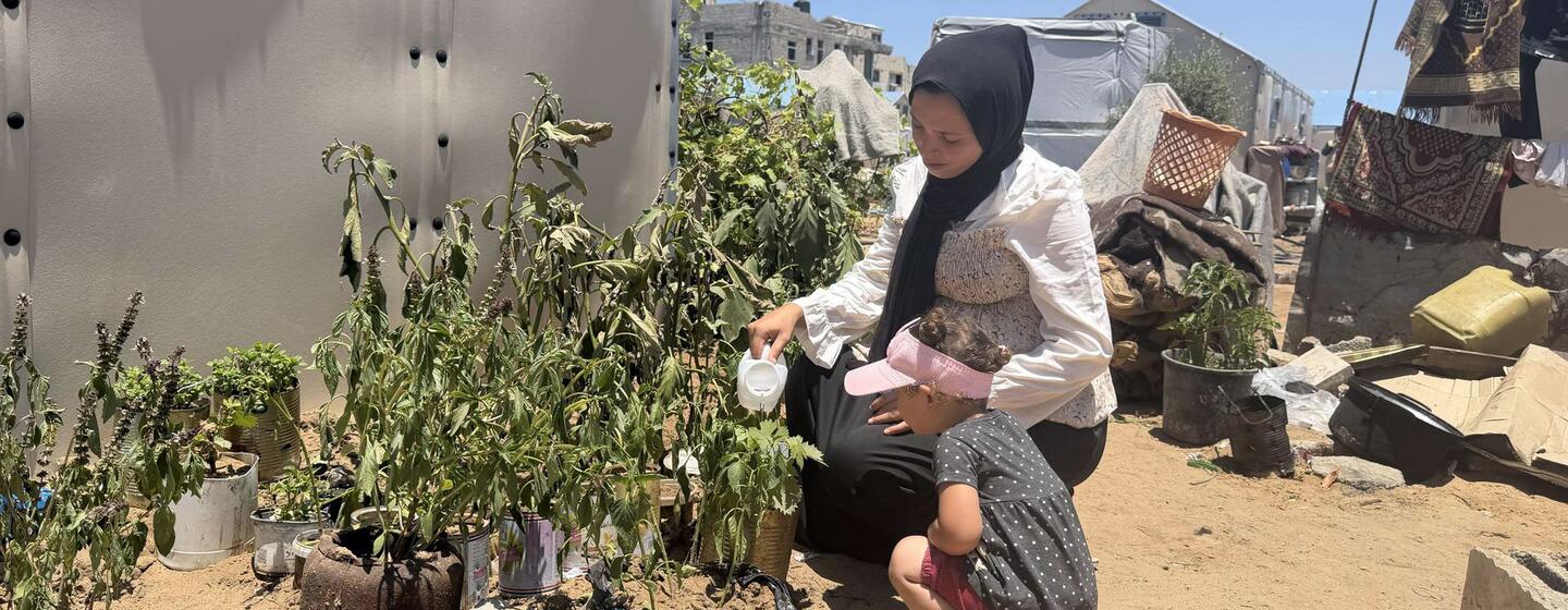 Reviving communities home by home in Gaza