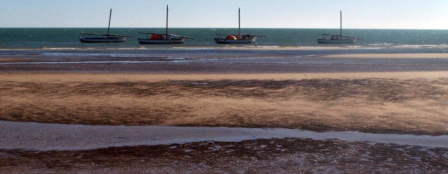 Quatro barcos de pesca estão encalhados em uma ampla faixa de areia na maré baixa, sob um céu azul claro.