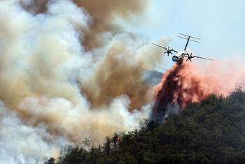 A firefighting plane drops a massive water load over a raging wildfire near Ille-sur-Tet, France.