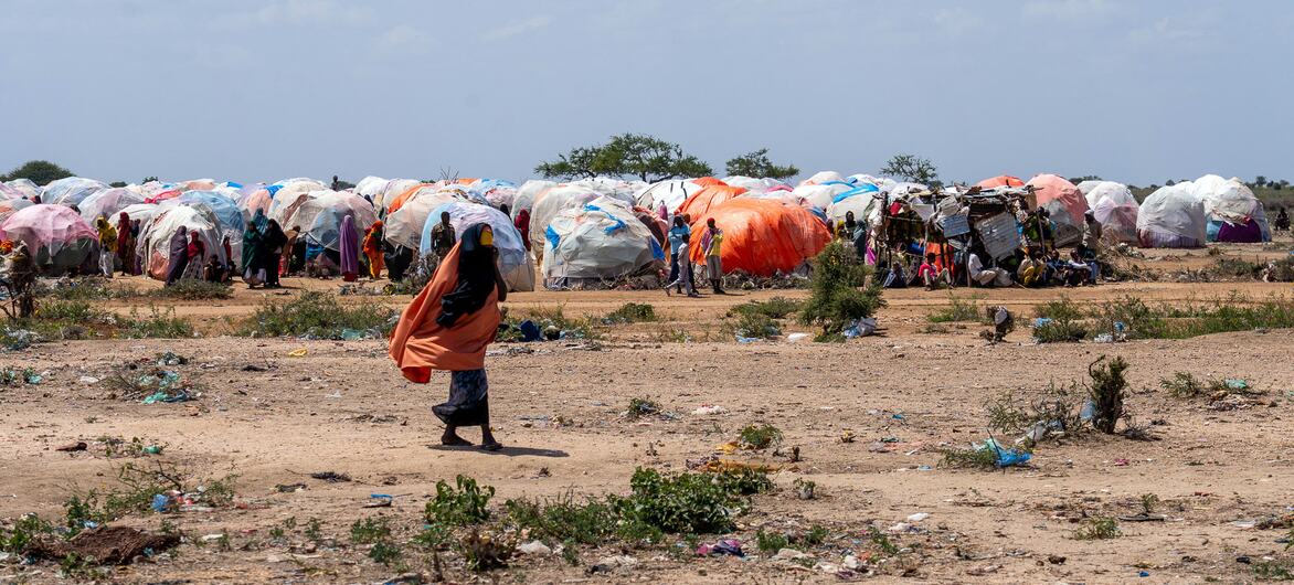In Somalia, AI is helping deliver food to hungry families