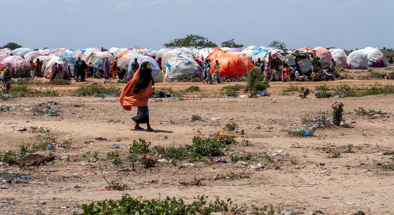 un.org - In Somalia, AI is helping deliver food to hungry families