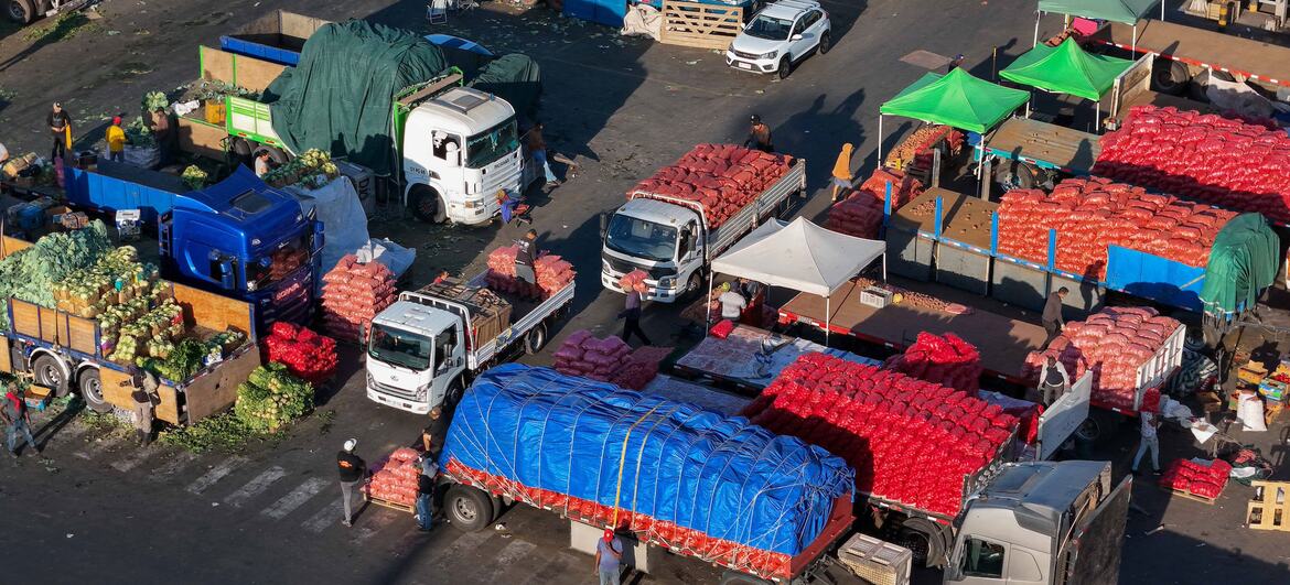 天气、能源及地缘政治因素推动国际食品价格指数7月小幅上涨