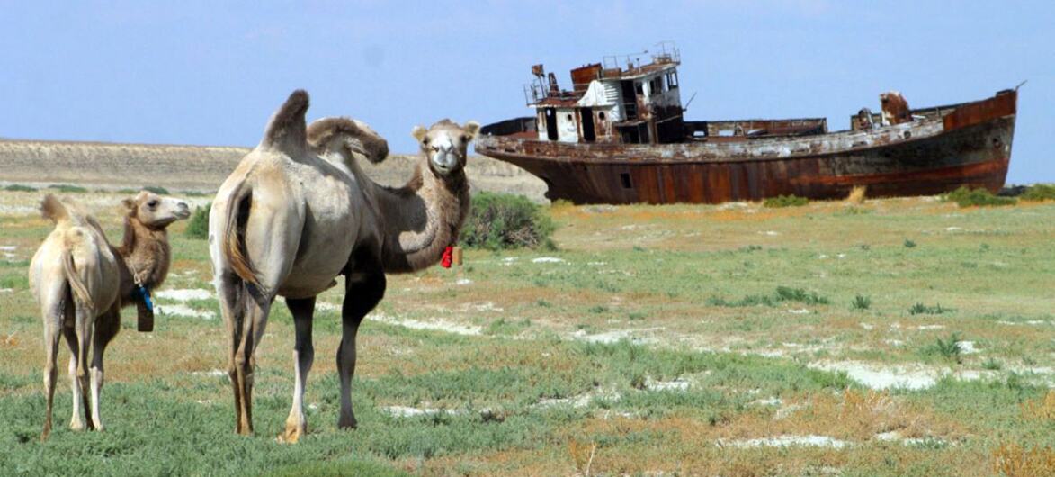 The grass beneath our feet: Why rangelands matter