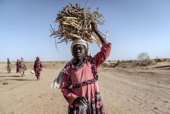 Una joven desplazada lleva un gran fardo de leña sobre la cabeza en un paisaje polvoriento en Tawila, Darfur del Norte, Sudán.