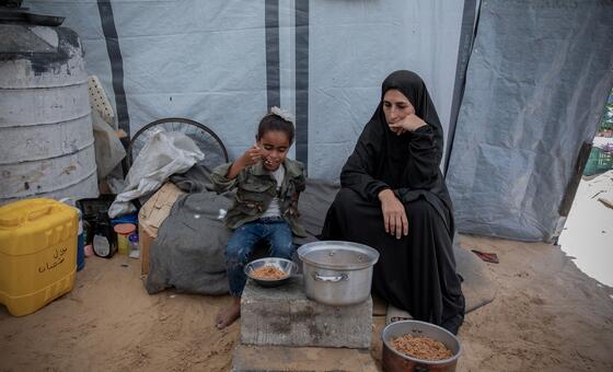In Gaza, women-headed households face ‘impossible choices’ to survive