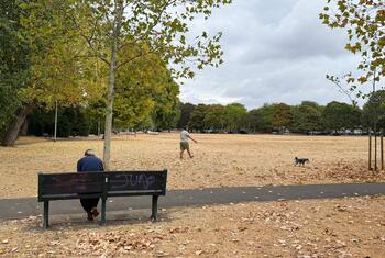 Vista de un parque en el Reino Unido, donde se aprecian la hierba seca y marrón y las hojas caídas. En primer plano, una persona está sentada en un banco, mientras que a lo lejos, otra pasea a su perro.