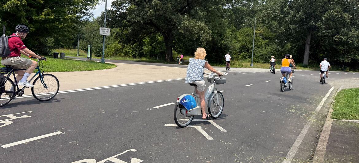 People riding bicycles on a designated path through Central Park in New York City.