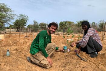 Un homme et une femme accroupis dans un champ, en train de planter un jeune arbre.