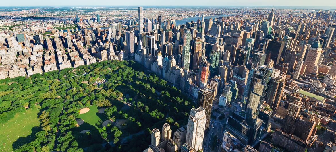 Central Park adapts to climate change while helping New York stay cool