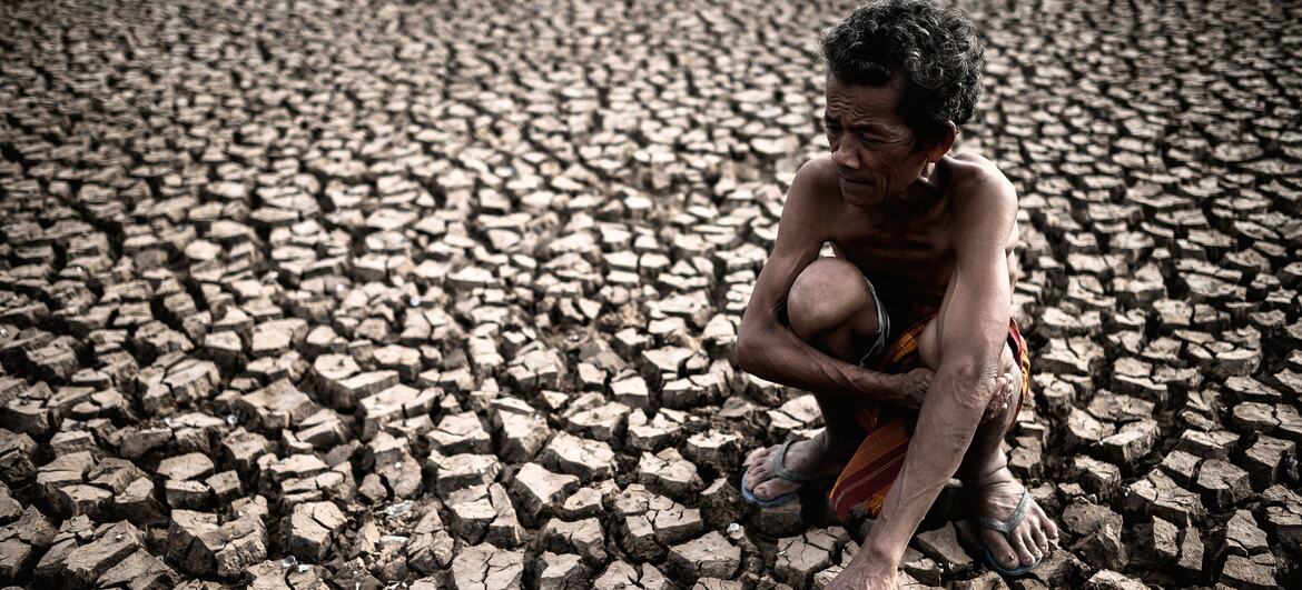  © Adobe Stock/Johnstocker El Niño usually brings drier conditions raising the risk of severe drought and wildfires.