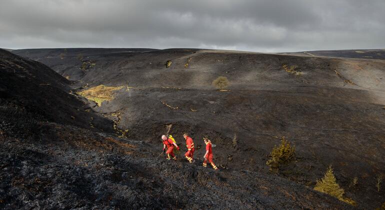 Três bombeiros com uniforme vermelho caminham por uma charneca enegrecida e queimada sob um céu cinzento e nublado.