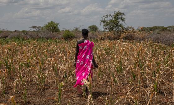 El Niño pone a prueba la capacidad del mundo para adaptarse al cambio climático