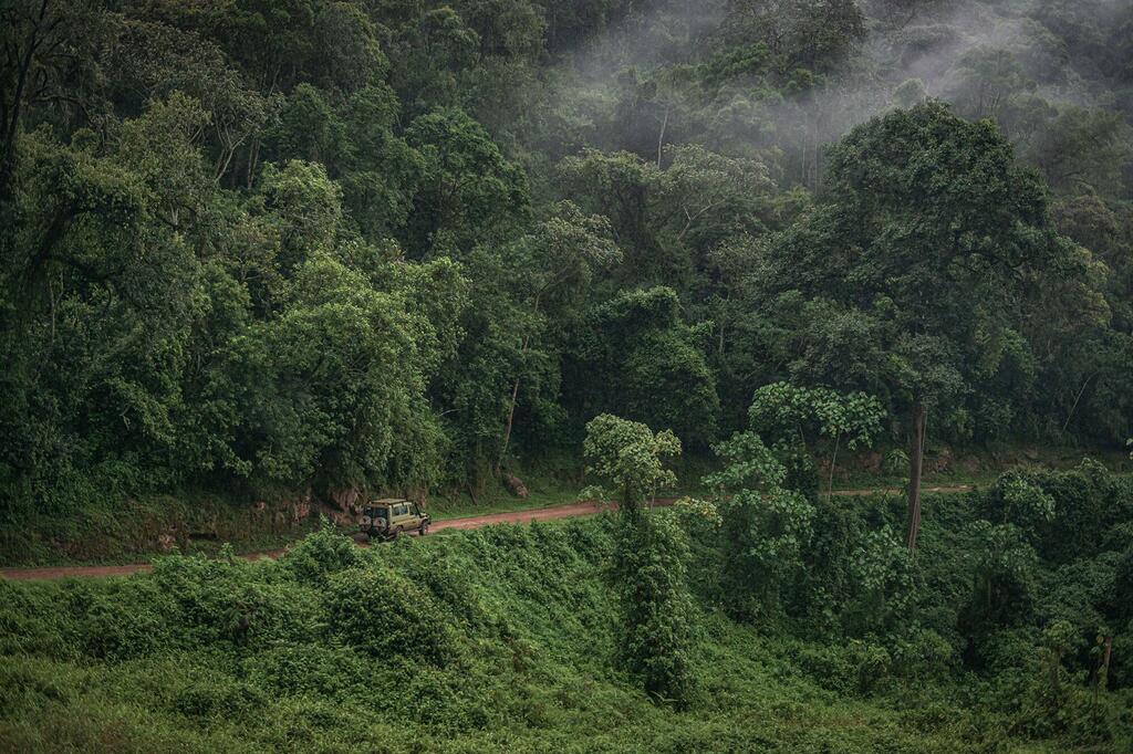 Gari la safari linaendesha gari kwenye njia ya vumbi kupitia msitu wa mvua wenye ukungu na mnene wa kijani huko Bwindi, Uganda.
