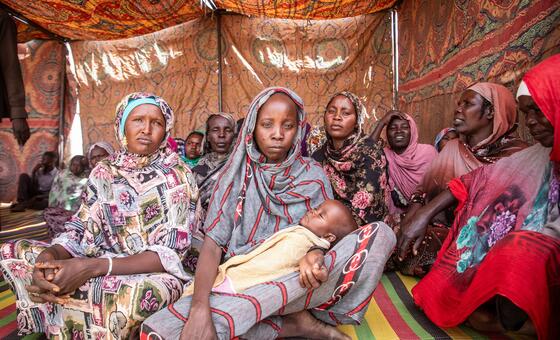 Security Council LIVE: Women and girls face greater dangers in war