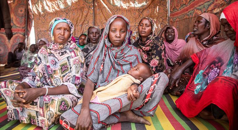 Security Council LIVE: Women and girls face greater dangers in war – UN News  news.un.org