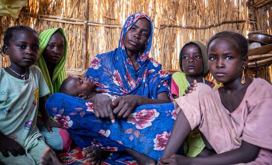 ‘Efficiency has limits’: UNHCR chief warns refugee protection is buckling under cuts