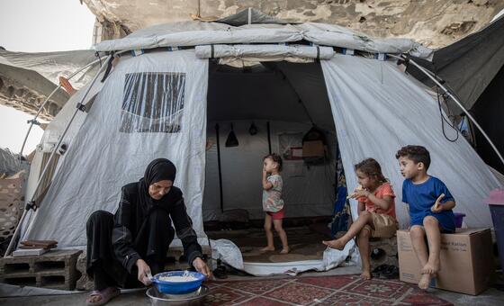 Gaza: Families brace for fourth winter in tents as aid operations remain stymied