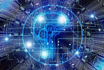 Visualisation de l'intelligence artificielle combinant un schéma du cerveau humain avec un circuit imprimé.