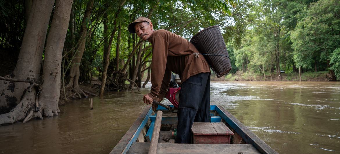 A fisher navigates a passage through a forest in northern Thailand. A fisher navigates a passage through a forest in northern Thailand.