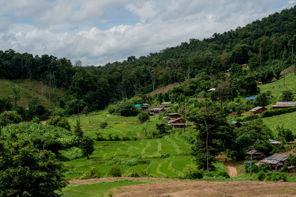 Les forêts couvrent de vastes zones du nord de la Thaïlande.