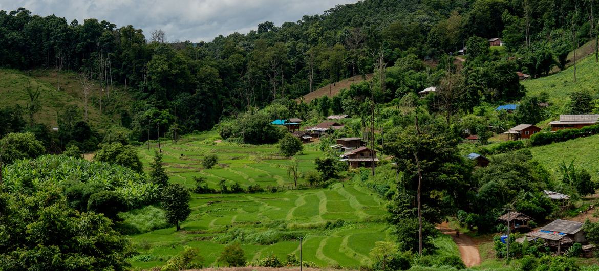 Un paysage rural avec des rizières, un village et des forêts denses dans les provinces de Mae Hong Son et de Tak en Thaïlande.