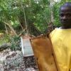 Ilarion Celestin s'occupe de ses ruches à Bonbon, en Haïti.