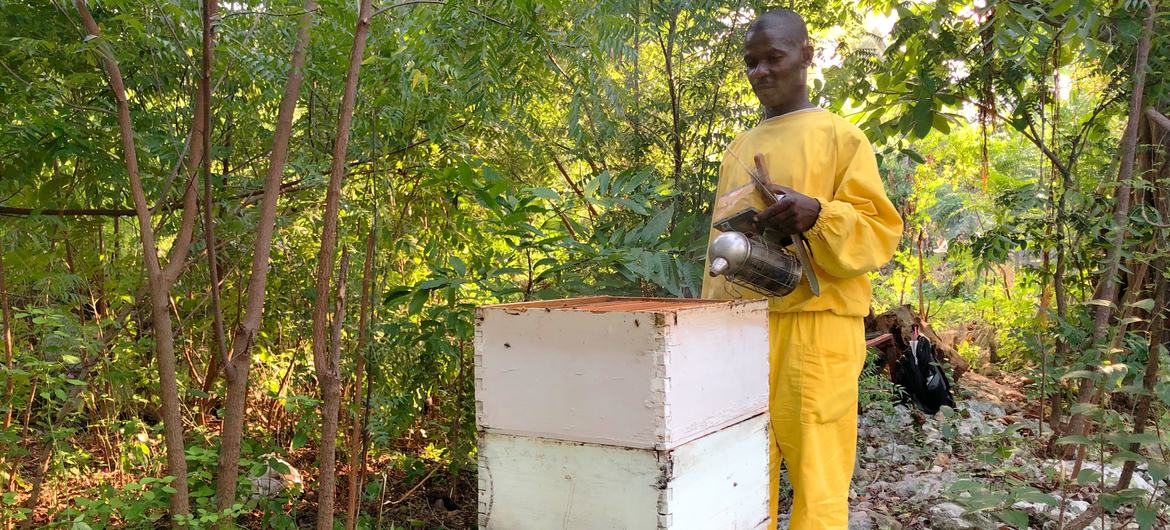 Les apiculteurs de la commune de Bonbon, dans le sud d'Haïti, créent un buzz autour du miel dans une région qui se remet du tremblement de terre de 2021.