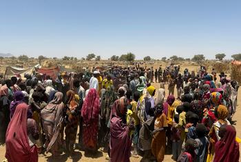 People in Sudan continue to flee their homes due to the conflict in Darfur and South Kordofan.