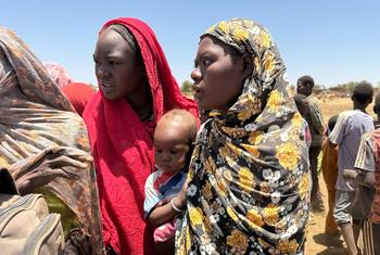 Des attaques contre les camps de Zamzam et d'Abu Shouk, où résident des centaines de milliers de personnes au Darfour soudanais, ont provoqué des déplacements massifs de population.