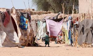The conflict between rival militaries in Sudan has plunged the country, in particular the Darfur region, into a deep humanitarian crisis.