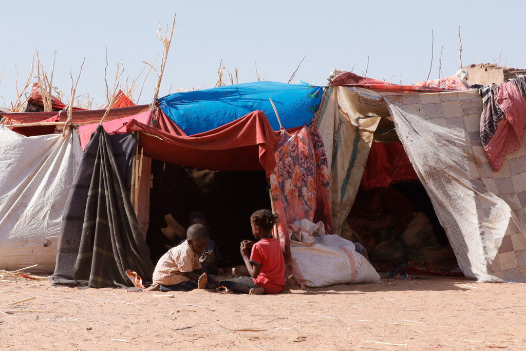 Des familles ayant fui les combats dans le camp de Zamzam et dans la ville d'El Fasher, au Darfour du Nord, un État de l'ouest du Soudan, cherchent refuge à Tawila.