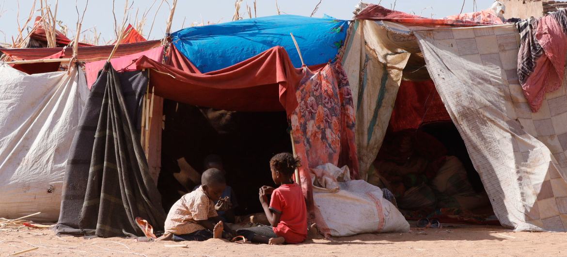 Families that fled the fighting in Zamzam and El Fasher in North Darfur, seek refuge in Tawila. 