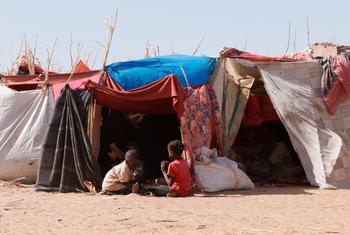 Des familles ayant fui les combats dans le camp de Zamzam et dans la ville d'El Fasher, au Darfour du Nord, un État de l'ouest du Soudan, cherchent refuge à Tawila.