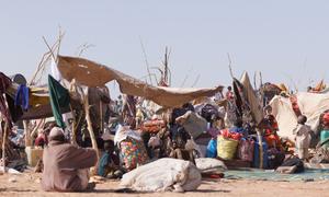 Des familles fuyant les combats à El Fasher, la capitale du Darfour du Nord dans dans l'ouest du Soudan, cherchent refuge dans la ville voisine de Tawila.